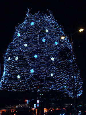 青光のクリスマスツリー